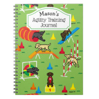 Labrador Retriever Dog Agility Training Choco