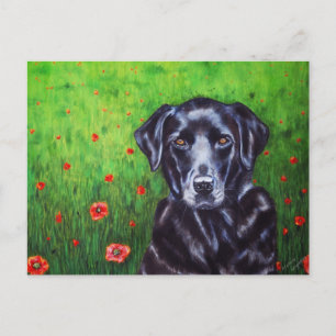 Labrador Retriever Dog Art - Poppy Postcard
