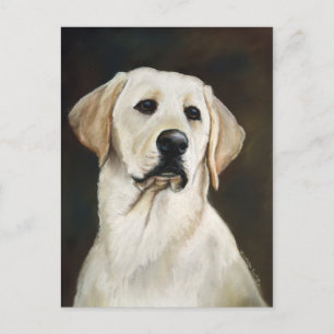 Labrador Retriever Dog Art Postcard