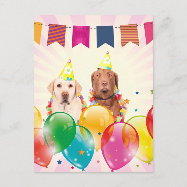 Labrador Retriever Dog Balloons Birthday Postcard (Front)