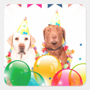 Labrador Retriever Dog Balloons Birthday Square Sticker