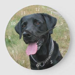 Labrador Retriever dog black beautiful photo Large Clock