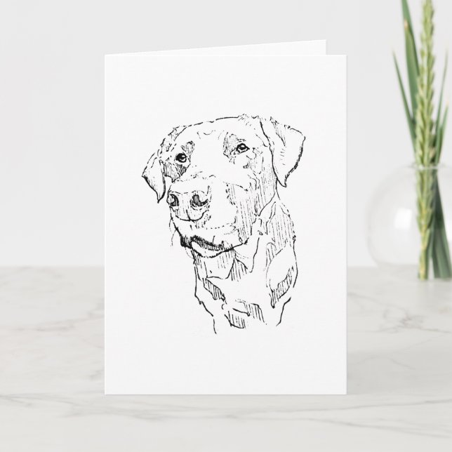 Labrador Retriever Dog Drawing Thank You Card (Front)