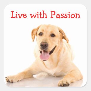 Labrador Retriever Dog Live With Passion Sticker