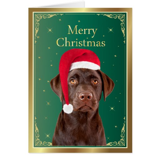 Labrador Retriever dog merry christmas card | Zazzle