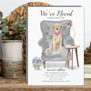 Labrador retriever Dog   Moving Announcement
