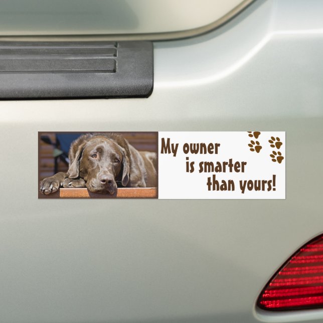 Labrador Retriever Dog Photo Funny Template Bumper Sticker (On Car)