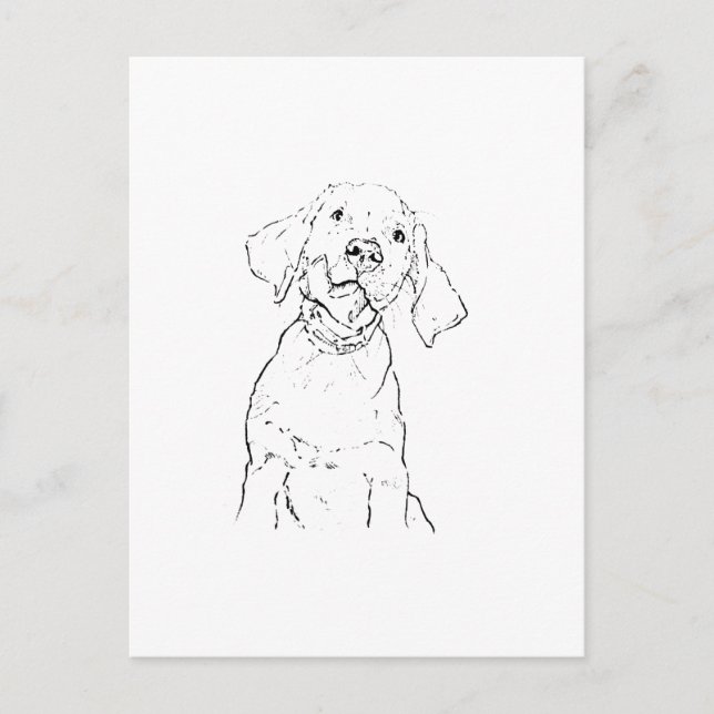 Labrador Retriever Dog Postcard (Front)