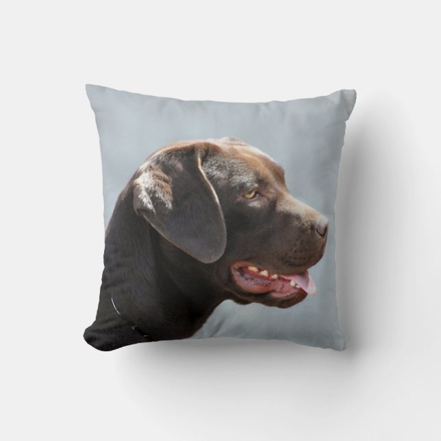 Labrador Retriever Dog square throw pillow (Front)