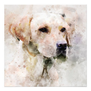 Labrador Retriever Dog Watercolor Portrait 02 Photo Print
