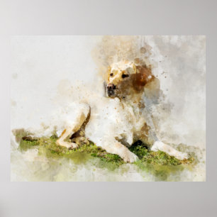 Labrador Retriever Dog Watercolor Portrait 03 Poster