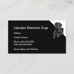 Labrador Retriever Dogs Breeder Pet Sitter   Business Card