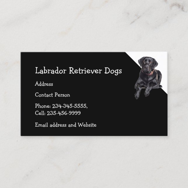 Labrador Retriever Dogs Breeder Pet Sitter   Business Card (Front)