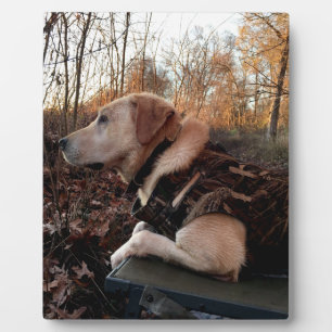 Labrador Retriever Duck Missile on the Launch Pad Plaque