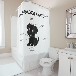 Labrador Retriever Funny Anatomy Cartoon Shower Curtain