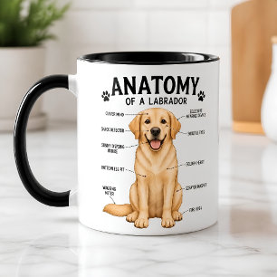 Labrador Retriever Funny Anatomy Diagram Mug
