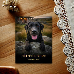Labrador Retriever Get Well Postcard