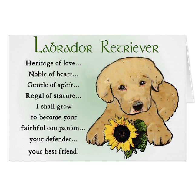 Labrador Retriever Gifts (Front Horizontal)