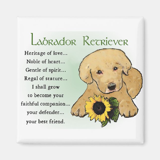 Labrador Retriever Gifts Magnet (Front)