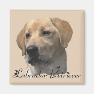 Labrador Retriever Gifts Yellow Lab Art Magnet