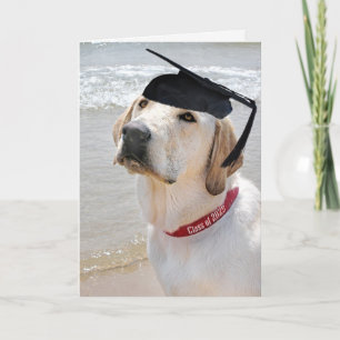 Labrador Retriever Graduation 2024 Card