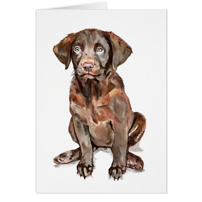 Labrador Retriever Greeting Card (Front)