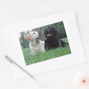 labrador retriever group rectangular sticker