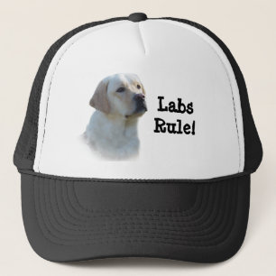Labrador Retriever Hat