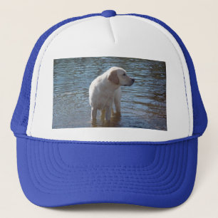 Labrador Retriever Hat At The Lake