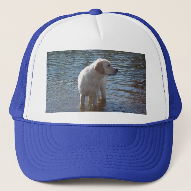 Labrador Retriever Hat At The Lake (Front)