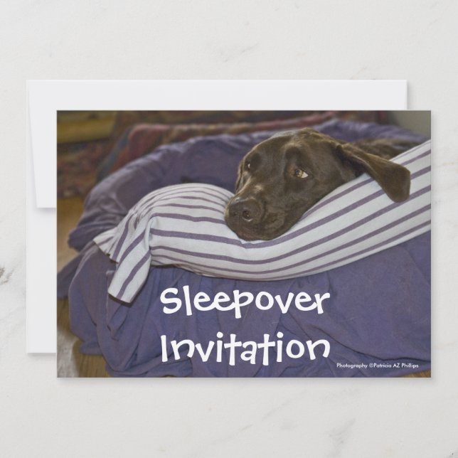 Labrador Retriever In Bed Invitation (Front)