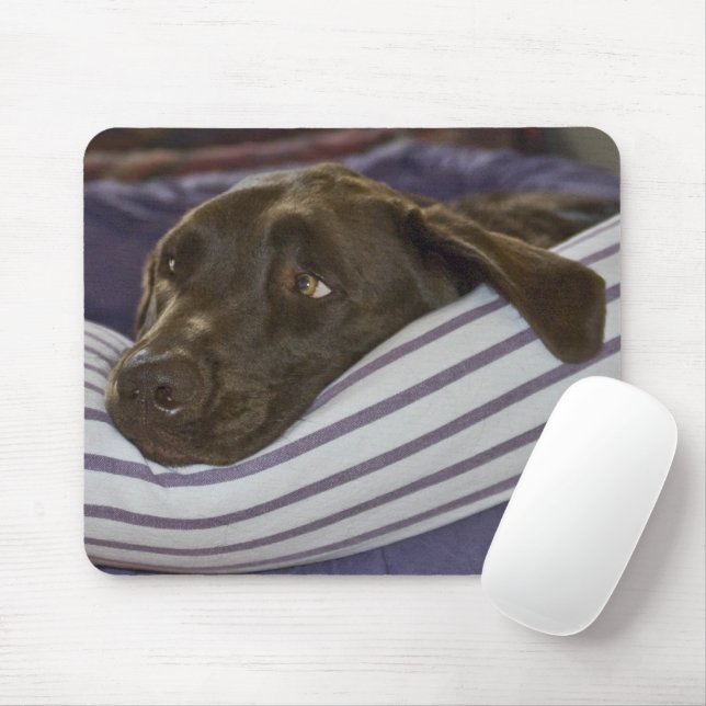 Labrador Retriever In Bed Mouse Mat (With Mouse)