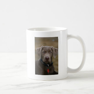 Labrador Retriever In Rare Light Silver Coffee Mug