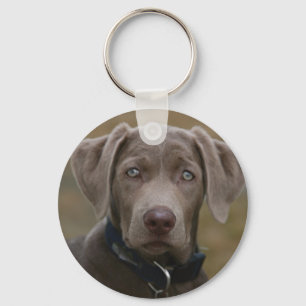 Labrador Retriever In Rare Light Silver Key Ring