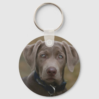 Labrador Retriever In Rare Light Silver Key Ring