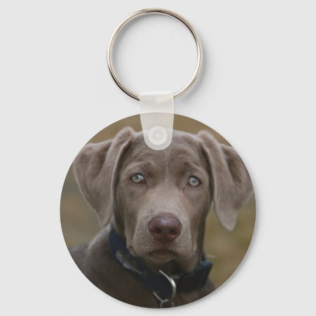 Labrador Retriever In Rare Light Silver Key Ring (Front)