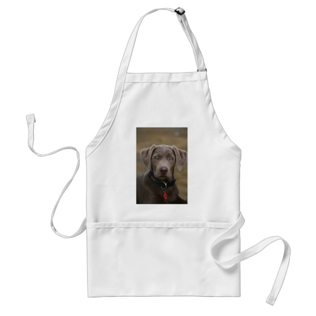 Labrador Retriever In Rare Light Silver Standard Apron (Front)