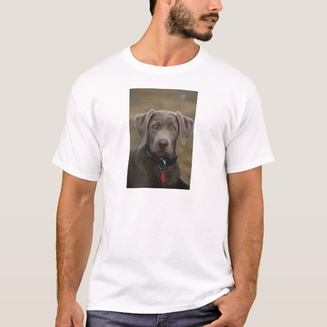 Labrador Retriever In Rare Light Silver T-Shirt (Front)