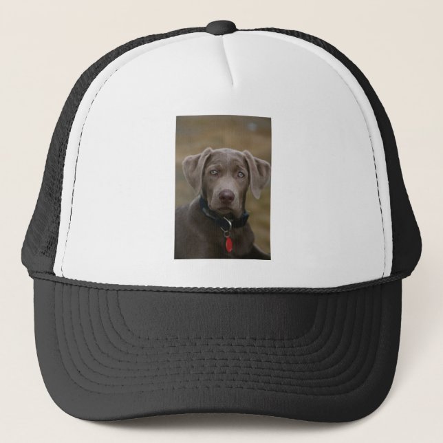 Labrador Retriever In Rare Light Silver Trucker Hat (Front)