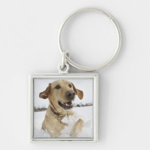 Labrador retriever jumping through deep snow key ring