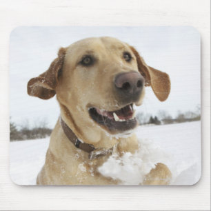 Labrador retriever jumping through deep snow mouse mat