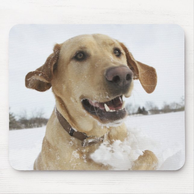 Labrador retriever jumping through deep snow mouse mat (Front)