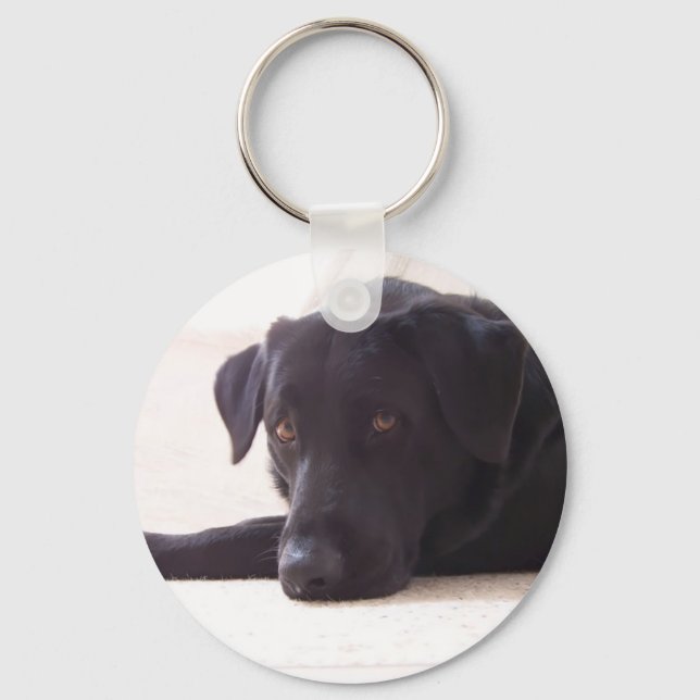 labrador retriever key ring (Front)