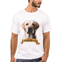Labrador Retriever love friendly cute sweet dog