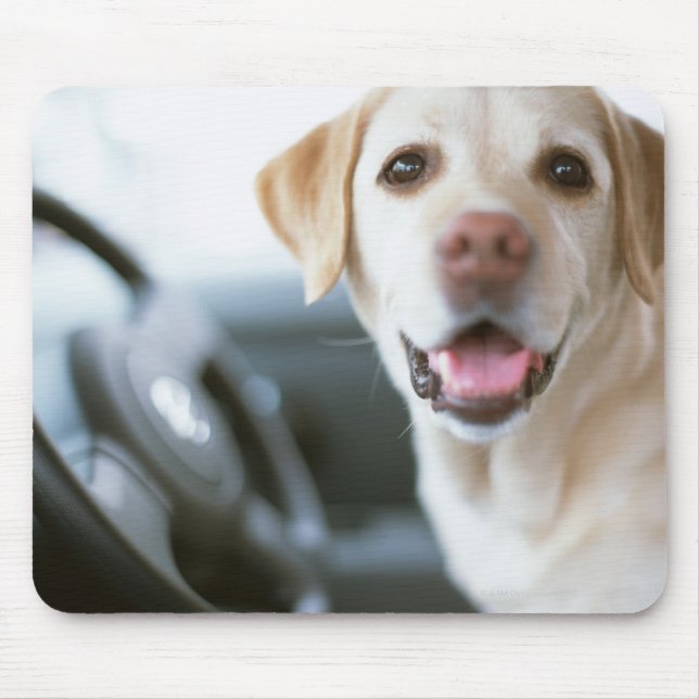 Labrador Retriever Mouse Mat (Front)