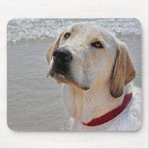 Labrador Retriever Mouse Mat