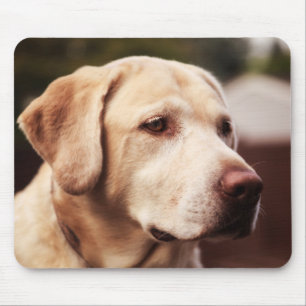 Labrador Retriever Mouse Mat