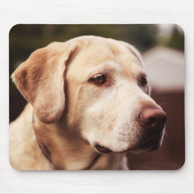 Labrador Retriever Mouse Mat (Front)