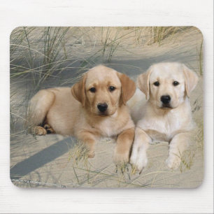 Labrador Retriever Mousepad Puppies