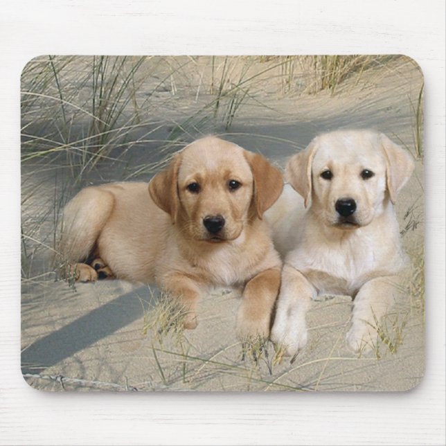 Labrador Retriever Mousepad Puppies (Front)
